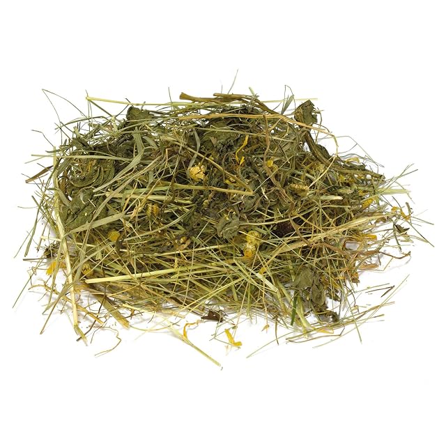 Foto 2 de 2 de Arquivet Heno multifloral para roedores y pequeños mamiferos, 500 g (Paquete de 1)