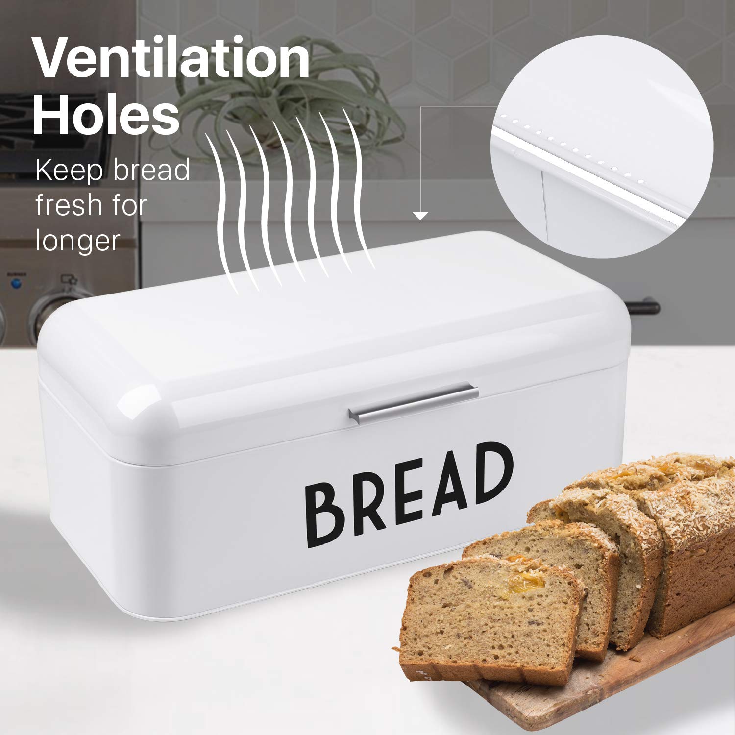 https://m.media-amazon.com/images/I/71twvRtlZHL.jpg