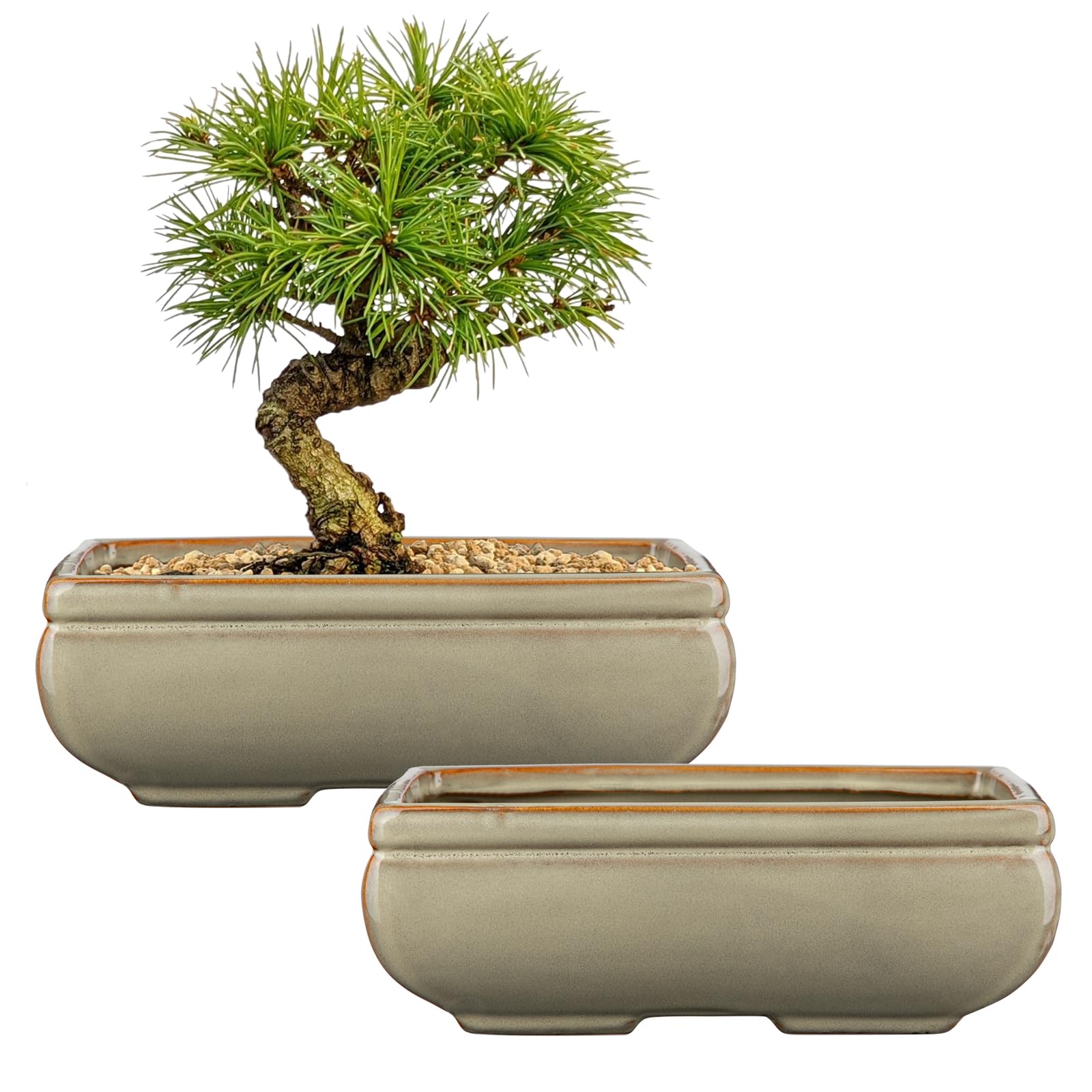 Ceramic Bonsai Pots with Drainage Hole, Set of 2 Rectangular Glazed Bonsai Planters for Indoor/Outdoor Use, Shallow Brown Bonzai Tree Pots for