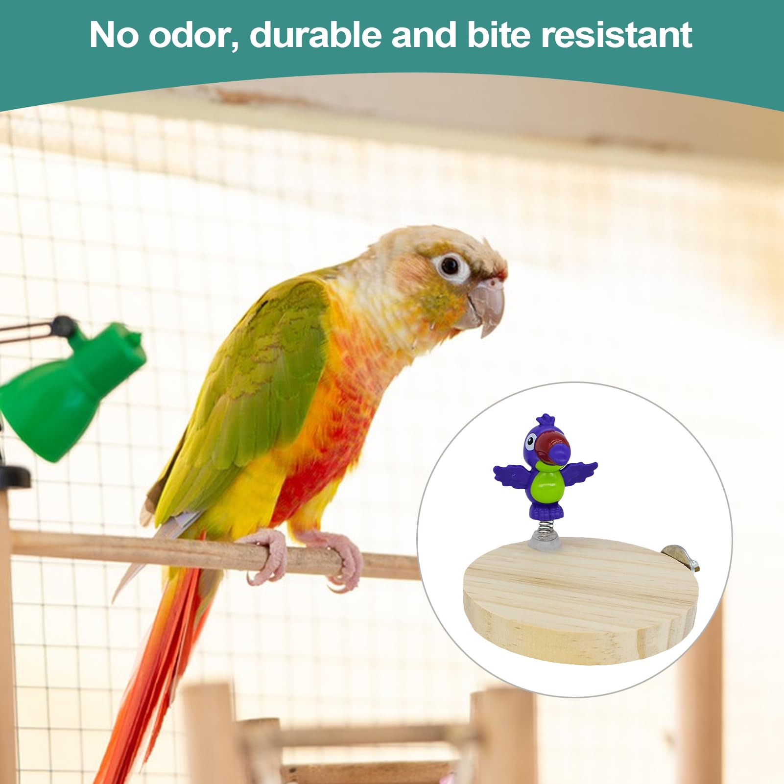 Amazon.co.jp: オウムスタンド|鳥のケージアクセサリー|天然鳥の止まり
