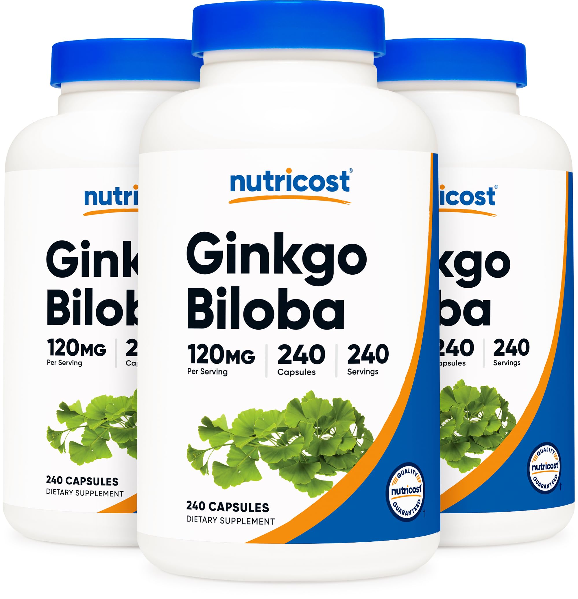 Ginkgo Biloba 120mg; 240 Capsules (3 Bottles)