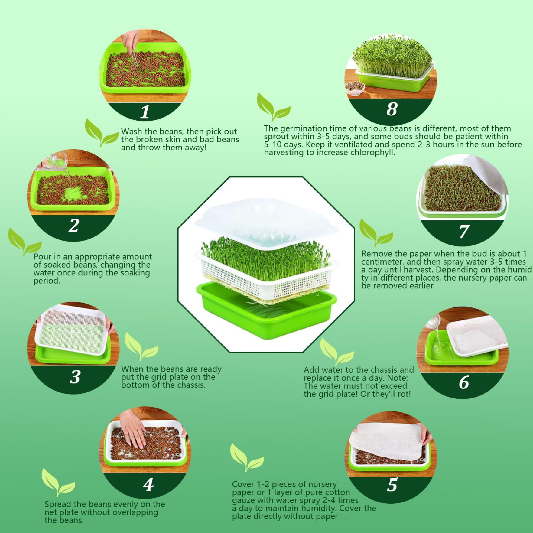 Plateaux de Culture de microgreens Kit Culture germes 10 x 12'', Plateau Germination 4, 7'' avec Couvercle Plateau démarrage graines réutilisable pour graines Germination