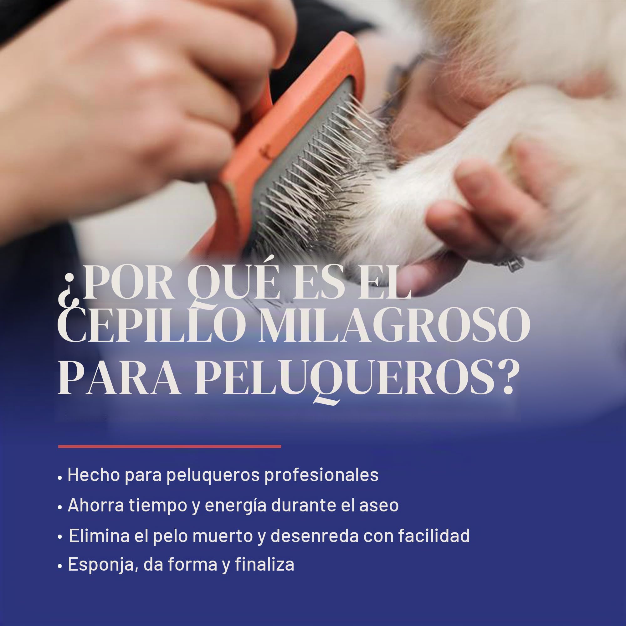 Chris Christensen Big G - Cepillo Profesional de Aseo para Perros, Cepillo para desenredar Pelusas, Ahorra Tiempo y energía, Coral, Mediano