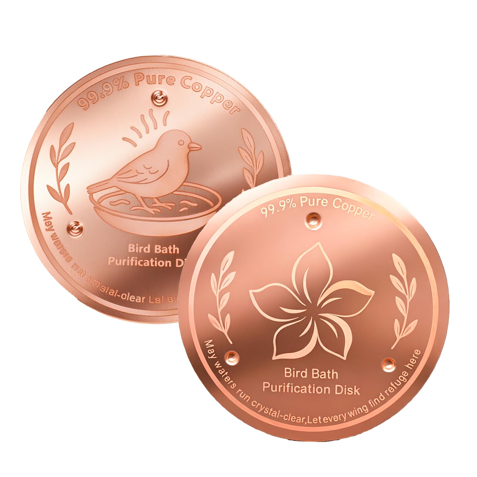 DOINEUFL Bird Bath Purification Disk