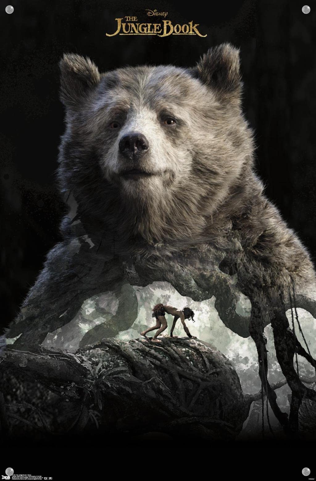 スチュアート・マスコウィッツ✨ジャングルフィッシュ✨額縁入りポスター✨稀少品♫ スチュアート・マスコウィッツ✨ジャングルフィッシュ✨額縁入り