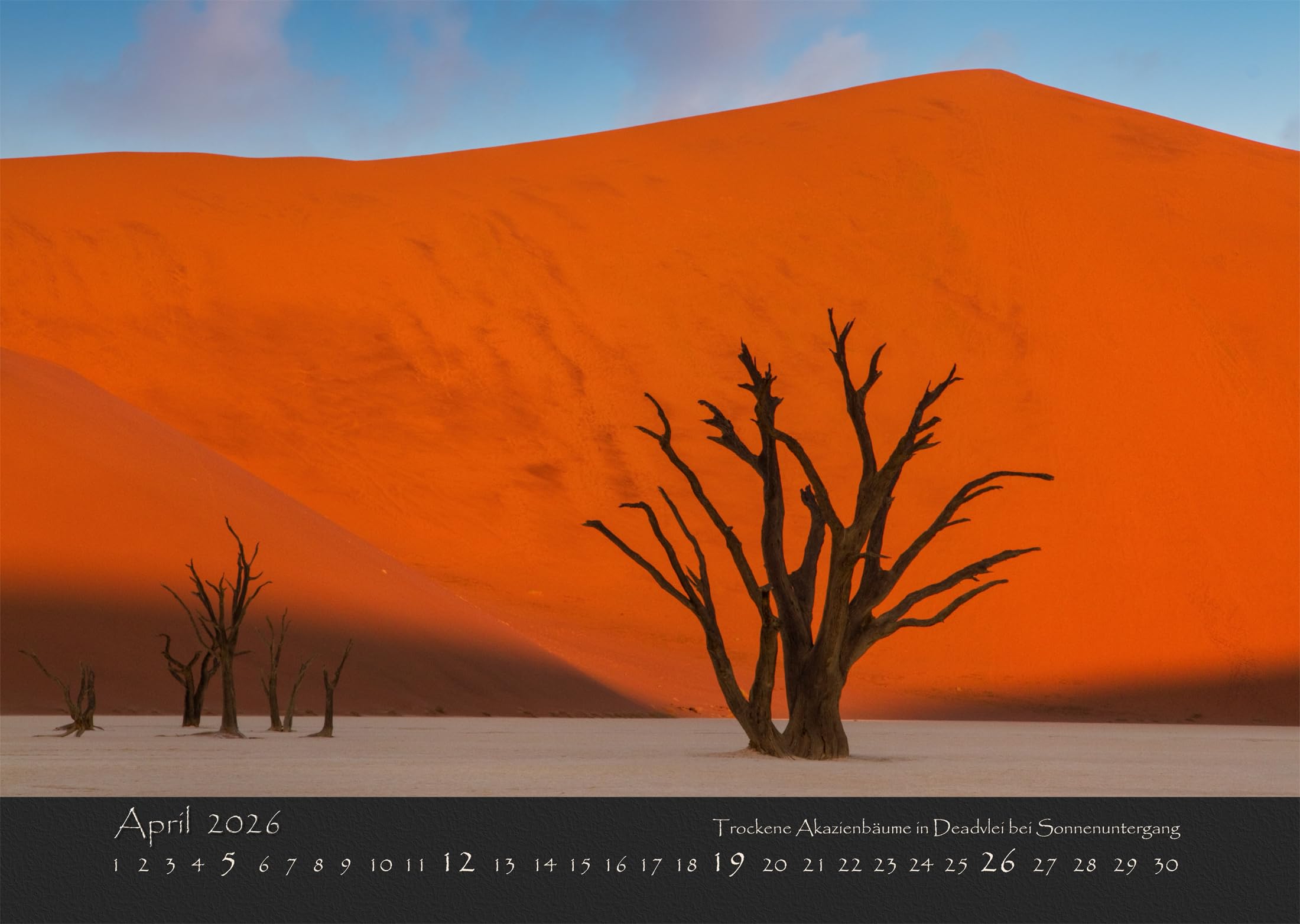 NAMIBIAS WILDNIS 2026: Atemberaubende Landschaften & Wildtiere | A2 Namibia Wandkalender mit traumhaften Naturfotografien | Die Magie Afrikas für Ihr Zuhause und als perfektes Geschenk