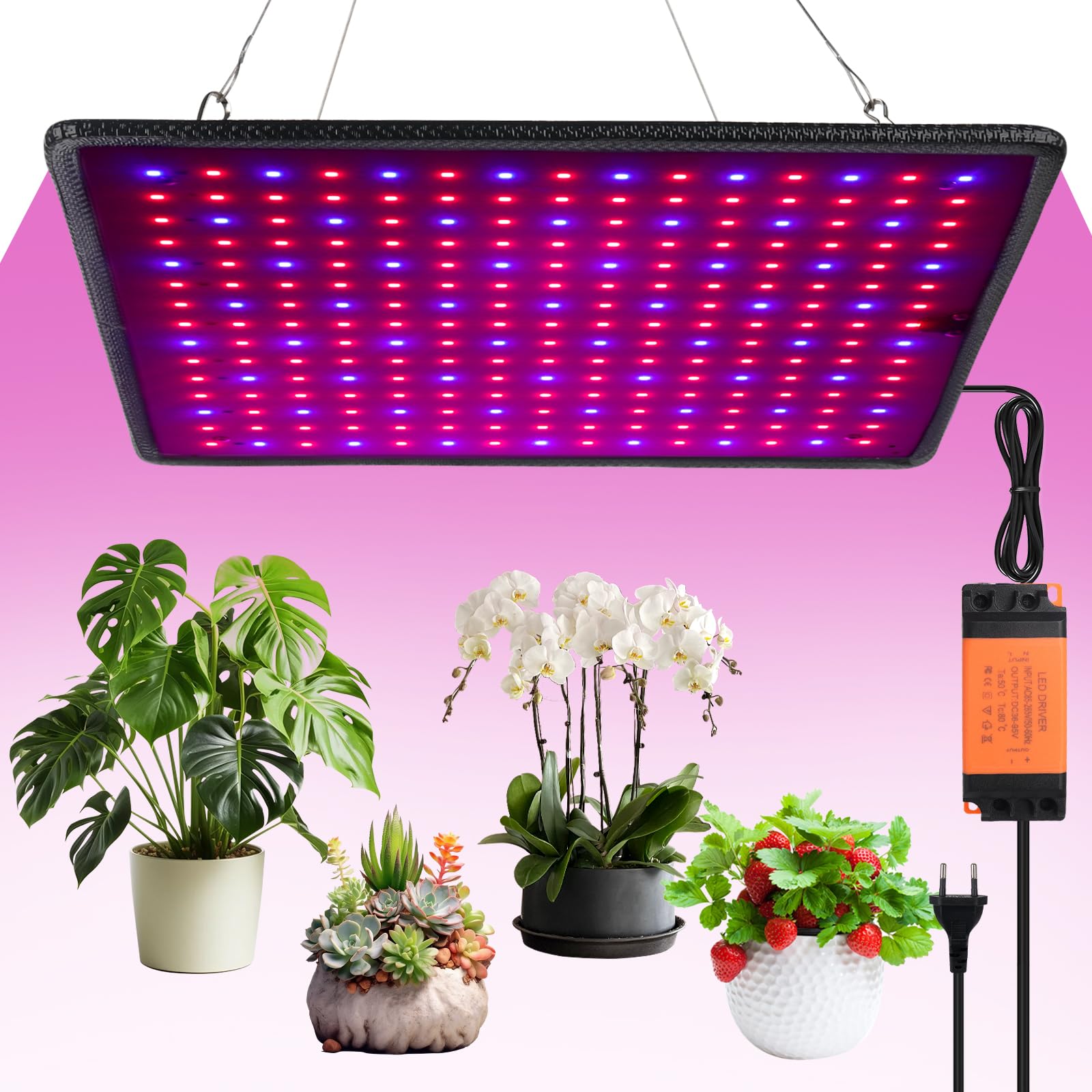 2 Pack Ampoules LED Croissance 120W Spectre Complet 180 LEDs - Lampe Horticole E27 Pour Plantes D'Intérieur