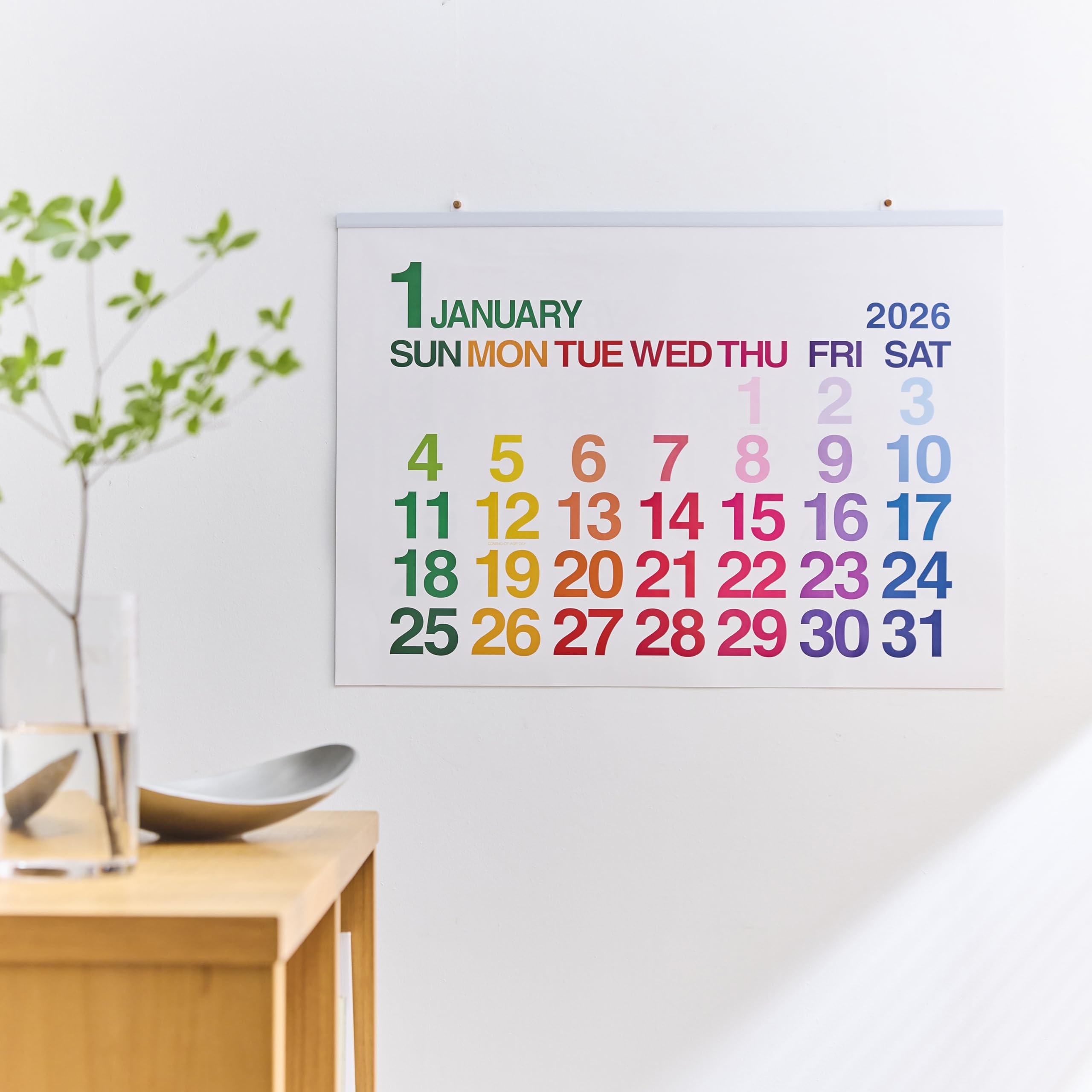 Amazon.co.jp: etranger di costarica 2026年 カレンダー 壁掛け A1