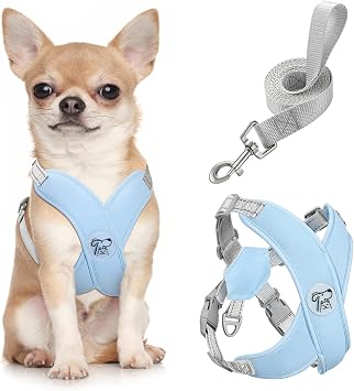 Pawaboo Small Dog Harness and Leash Set, Puppy Harness X-Frame No Pull No Choke, Dog Vest Harness Adjustable for Small Medium Sized Dogs, Soft Breathable Pet Harness for Walking Outing S, Blue