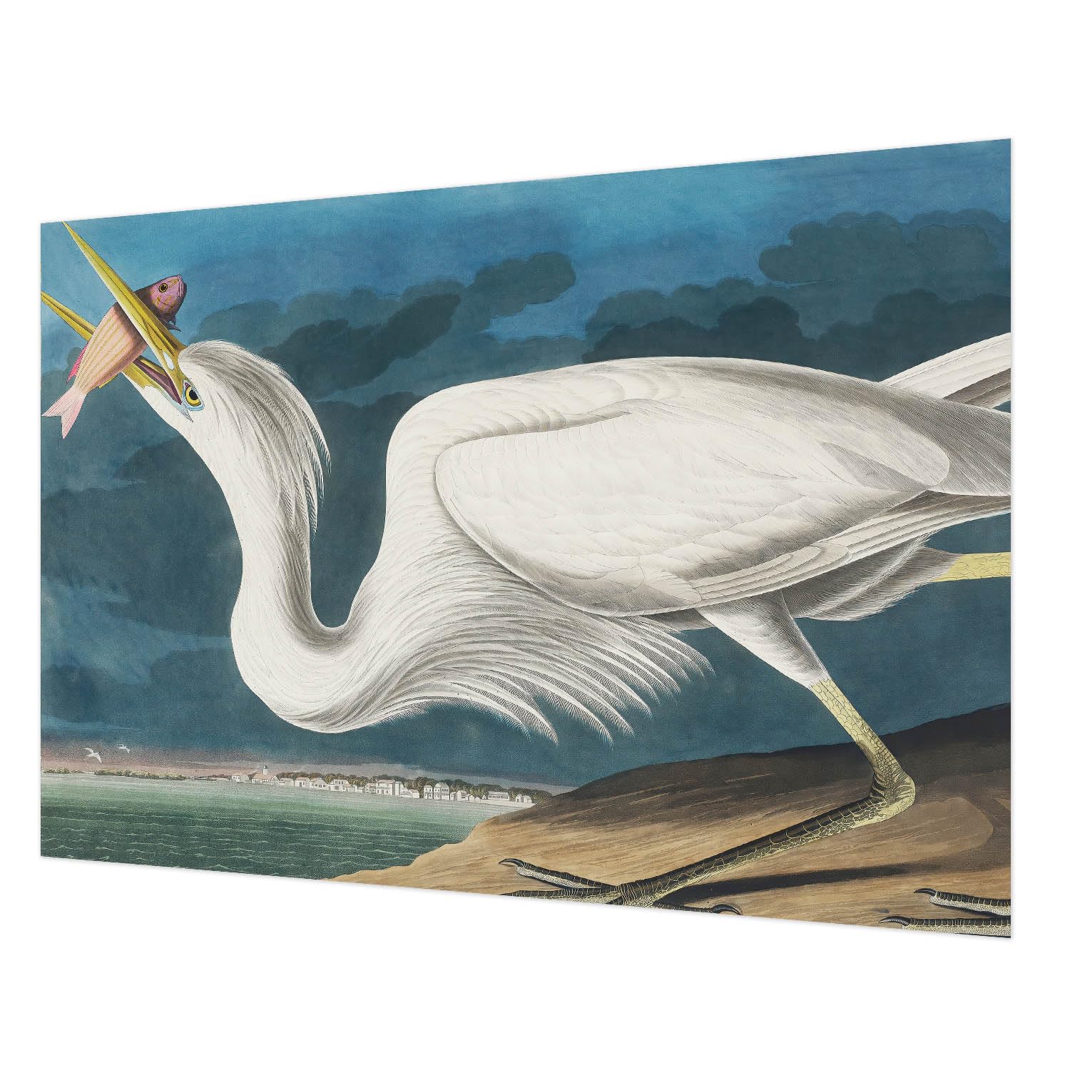 Tapisserie intissée 208x146 cm avec impression oiseau et poisson, colle incluse
