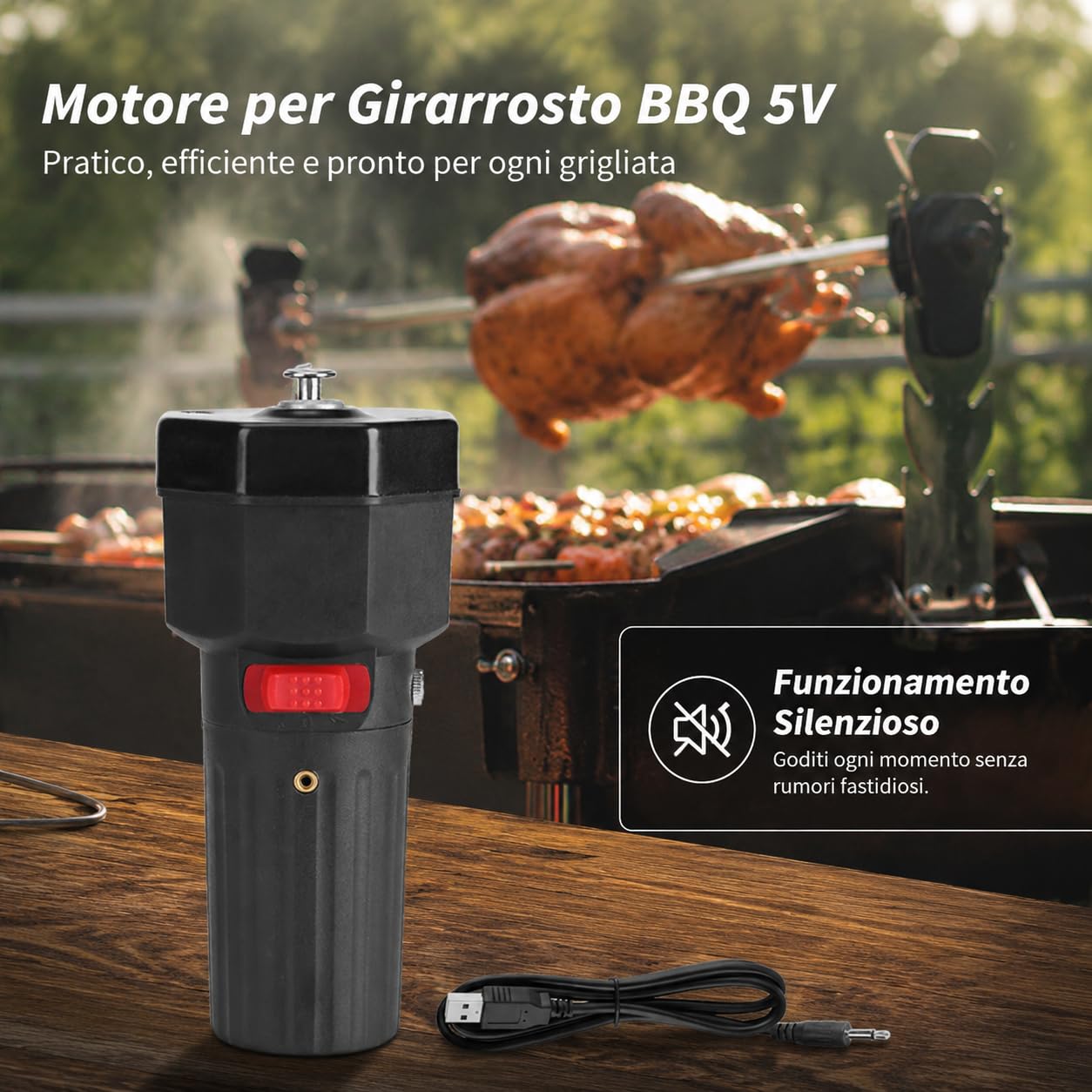 Estink Motore Girarrosto Elettrico per Barbecue, DC 5V, Rotazione CW/CCW, con Cavo USB 1m, Nero