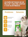 Ver la foto 6