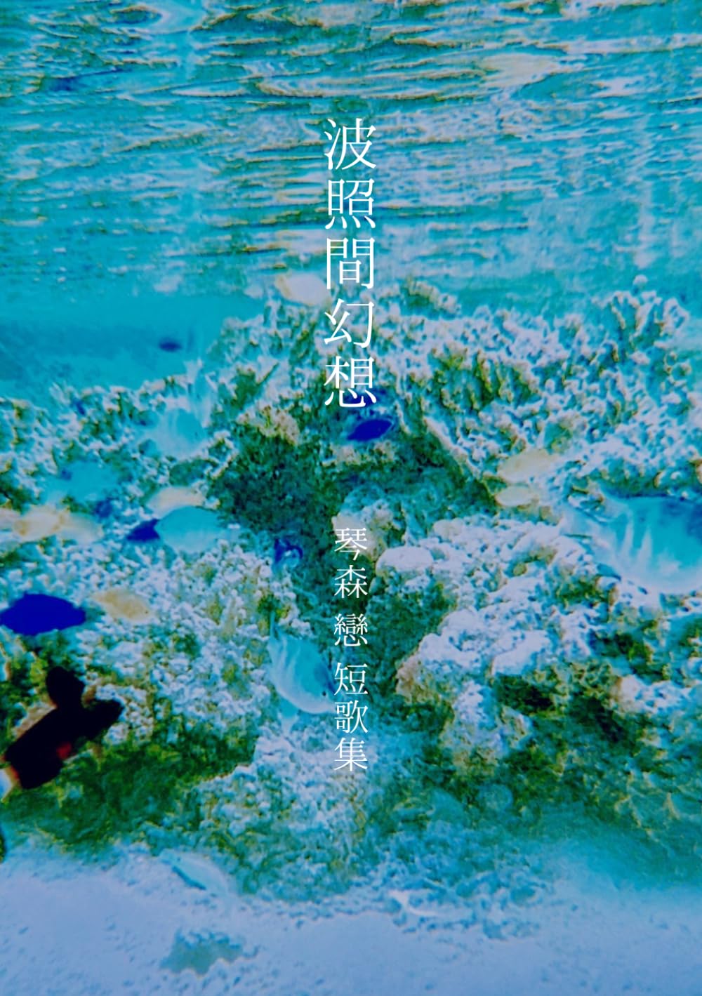 波照間幻想―短歌集