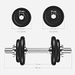 SONGMICS Ensemble de 2 Cast Iron Dumbbells, Plaques de poids, Ajustable pour hommes Femmes entraînement, Poignée en acier, Fitness Training, Weight Lift, Gym à domicile, Encre noire