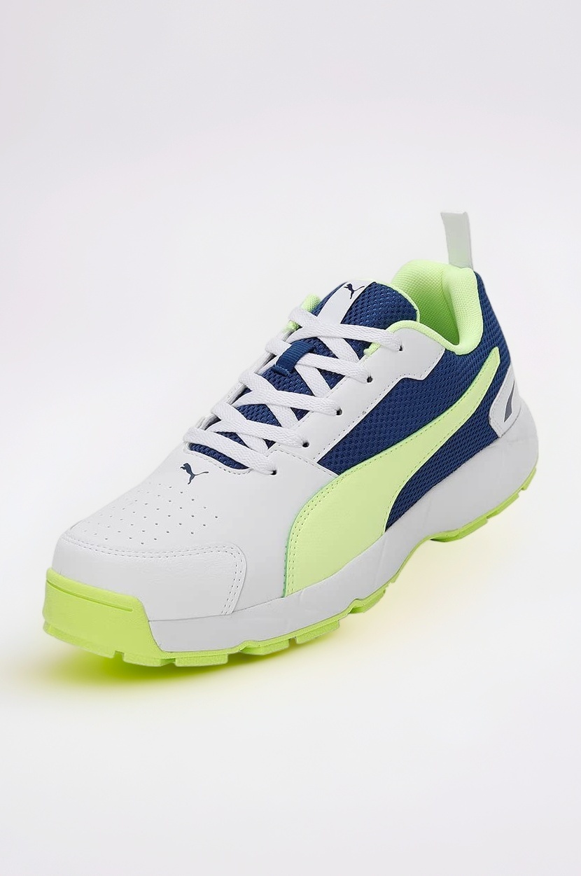 Men Cricket HighRun Cricket Shoe