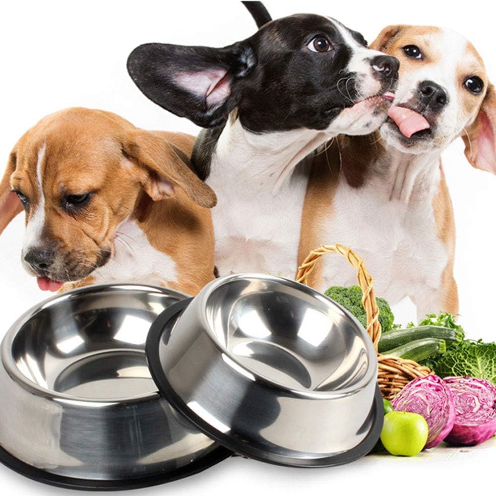 outdoor dog dish