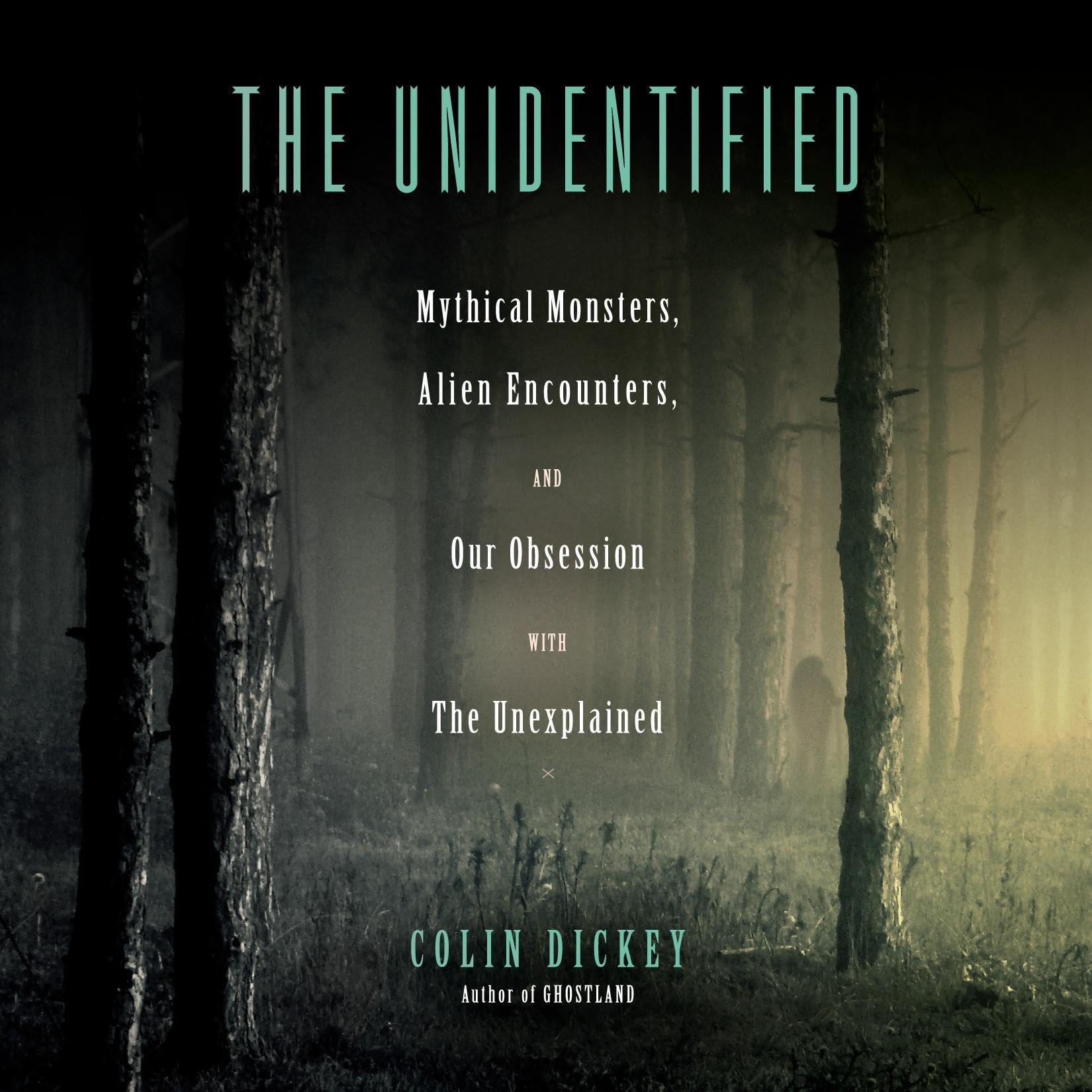 Cover art for The Unidentified