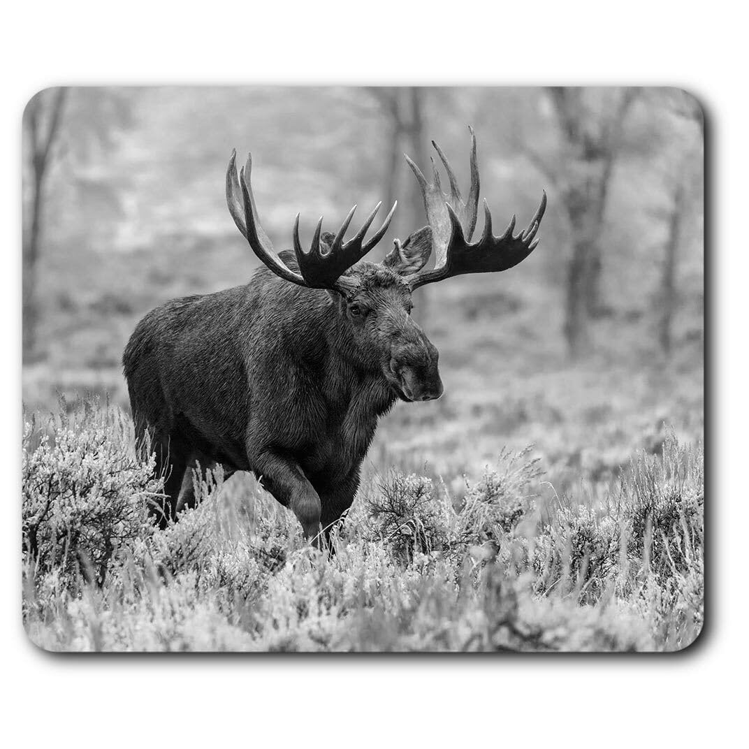 MIKKA ENTERPRISES APSRA Rectangle Mouse Mat BW - Wild Moose in Natural Wilderness #37583 Printed Mouse Pad, Office and Home Use, Non Slip
