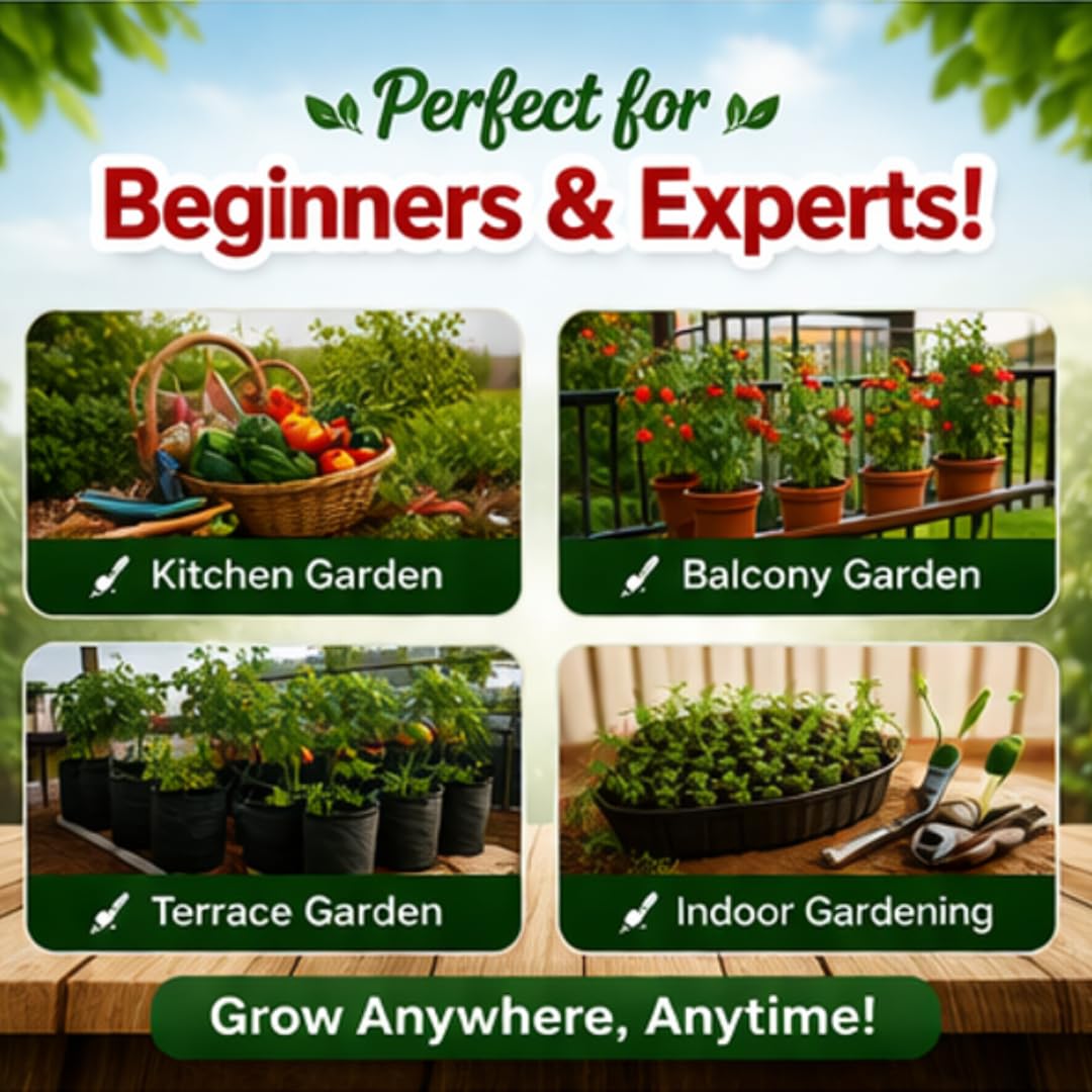 Saphirre Seeds Compatible Brand Rock Sollitairre Vegetable Seeds Combo Pack | 260+ Seeds | 6 Varieties | Cherry Tomato, Broccoli, Capsicum, White Brinjal, Red Ball Radish & Zucchini | High Germination 2