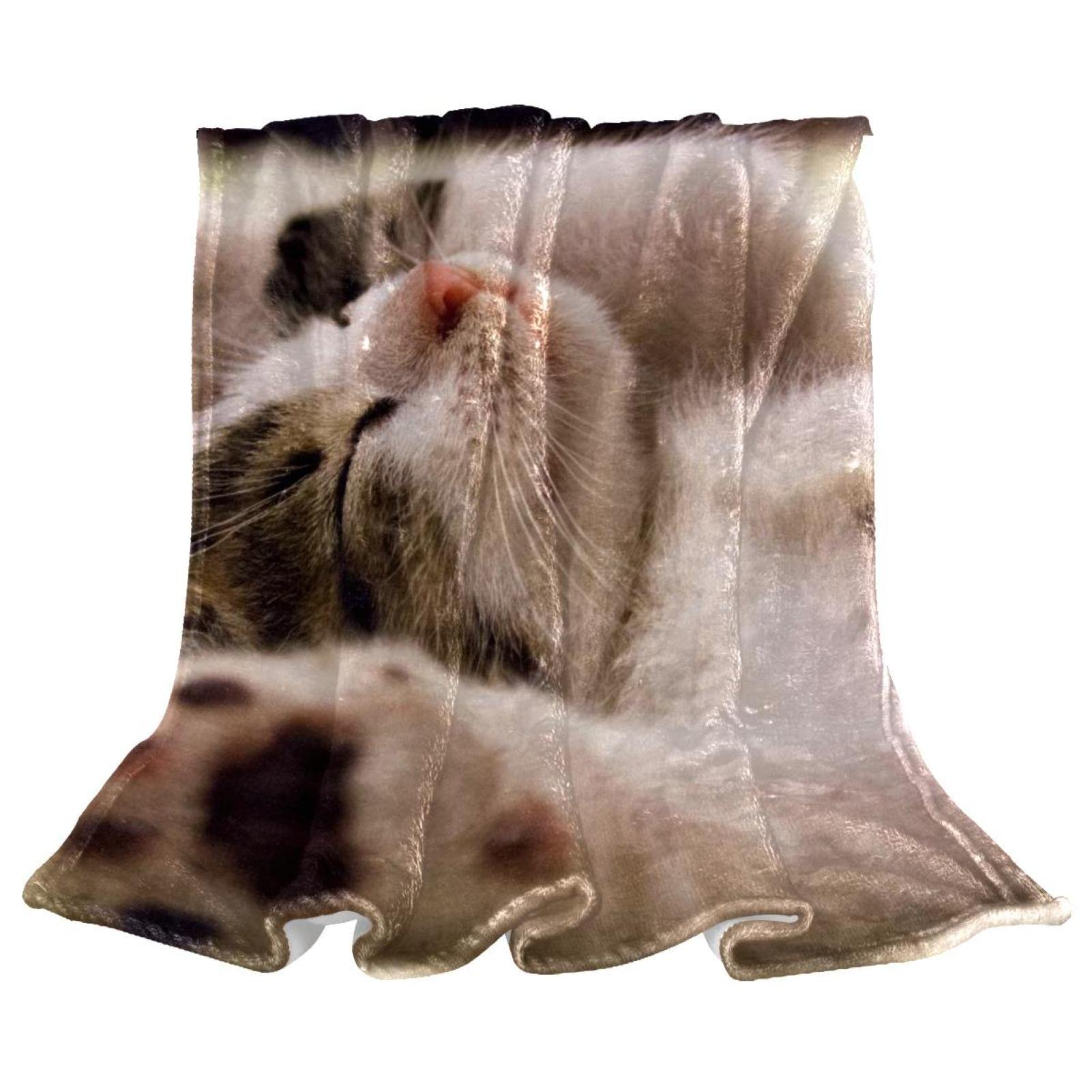 Jeté de lit polaire motif chat plaid canapé haute densité