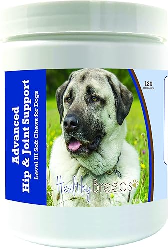 Miniatura 1 de Healthy Breeds Anatolian Shepherd Dog Advanced Hip & Joint Support Level III - Masticables suaves para perros, promueve una vida activa y cómoda con