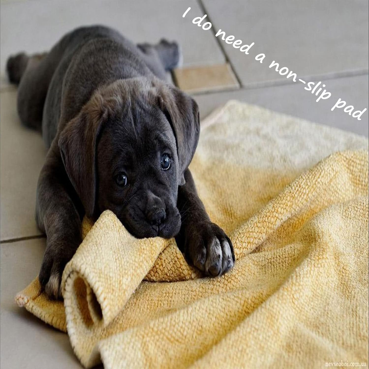 Cushioning Non-Slip Rug Pad, 8'x8'-1/8" Thick Dual Surface(Felt + Rubber Grid) Carpet Underlay, Mat Gripper for All Floors and Finishes