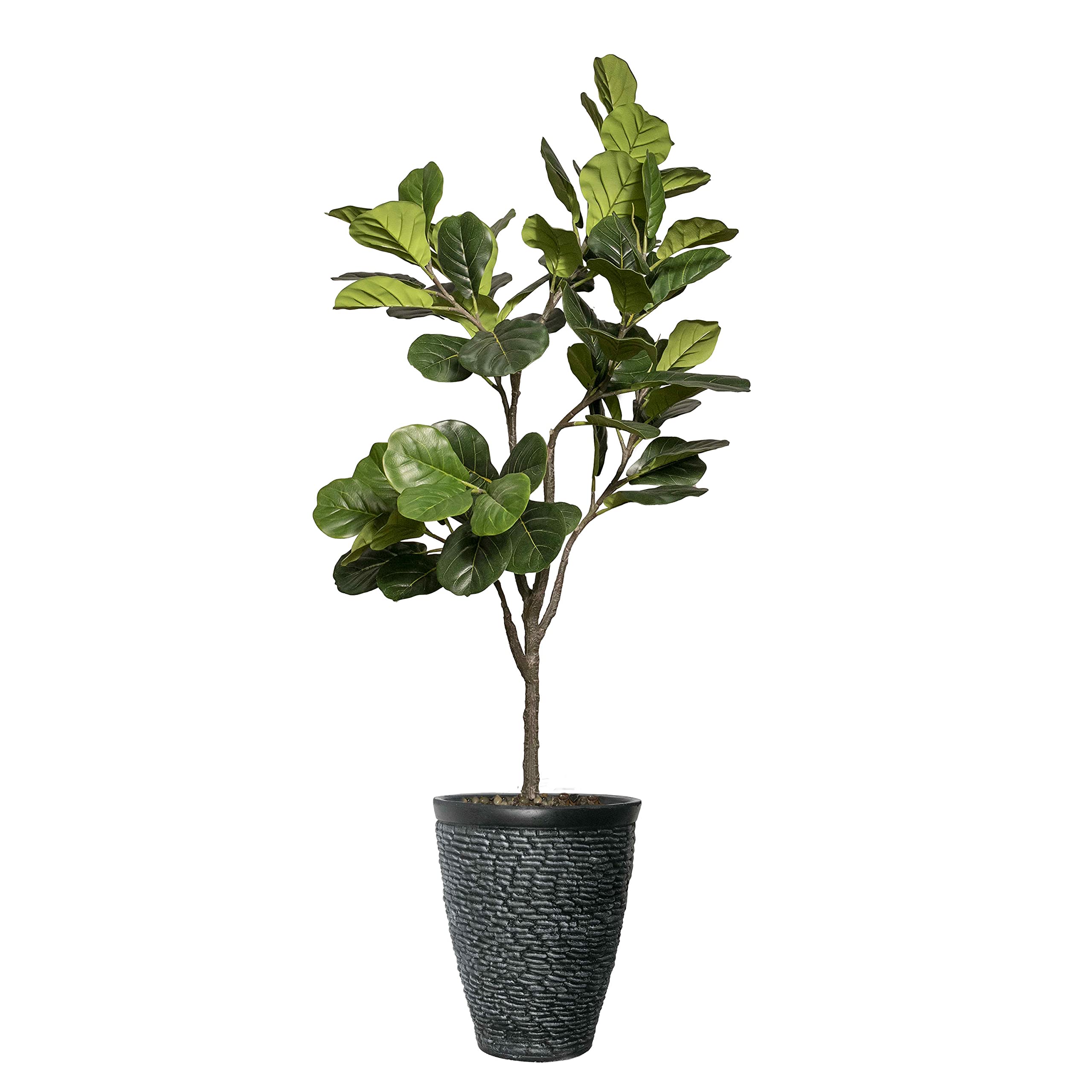 【新品】FASCENT_I FIG YOU Fascent | I Fig You Parfum • rheine