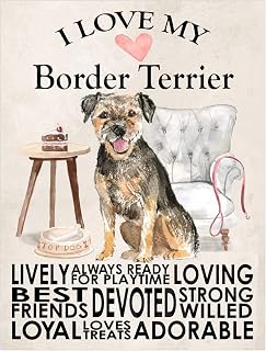 Border Terrier Metal Sign Dog Plaque Home Decor Bar Shed Garage Man Cave Poster Gift size 8x6in Ref 7749
