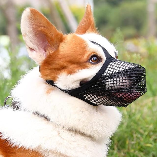 Dog Muzzle Soft Nylon Muzzle - Adjustable Breathable Mesh Muzzle , Dog Mask , Mouth Cover for Anti-Biting Anti-Barking Licking (Black, Size XS+)