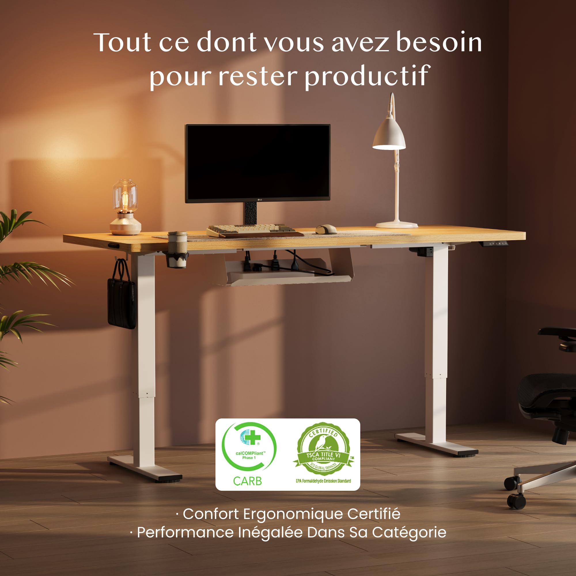 FLEXISPOT Bureau Assis Debout Électrique 160x60cm, Bureau Réglable Électrique en Hauteur avec Plateau Érable, Table d'ordinateur avec Crochet, Fonction Mémoire, pour Bureau, Télétravail