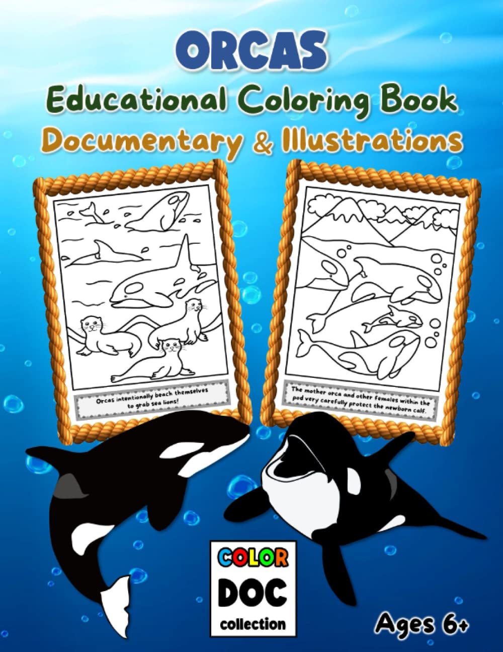 ORCAS: Educational Coloring Book for Kids Ages 6+ | Documentary and Illustrations to Color | 30 Large Hand-Made Drawings | 8.5" x 11", 65 pages (Color Doc Collection)