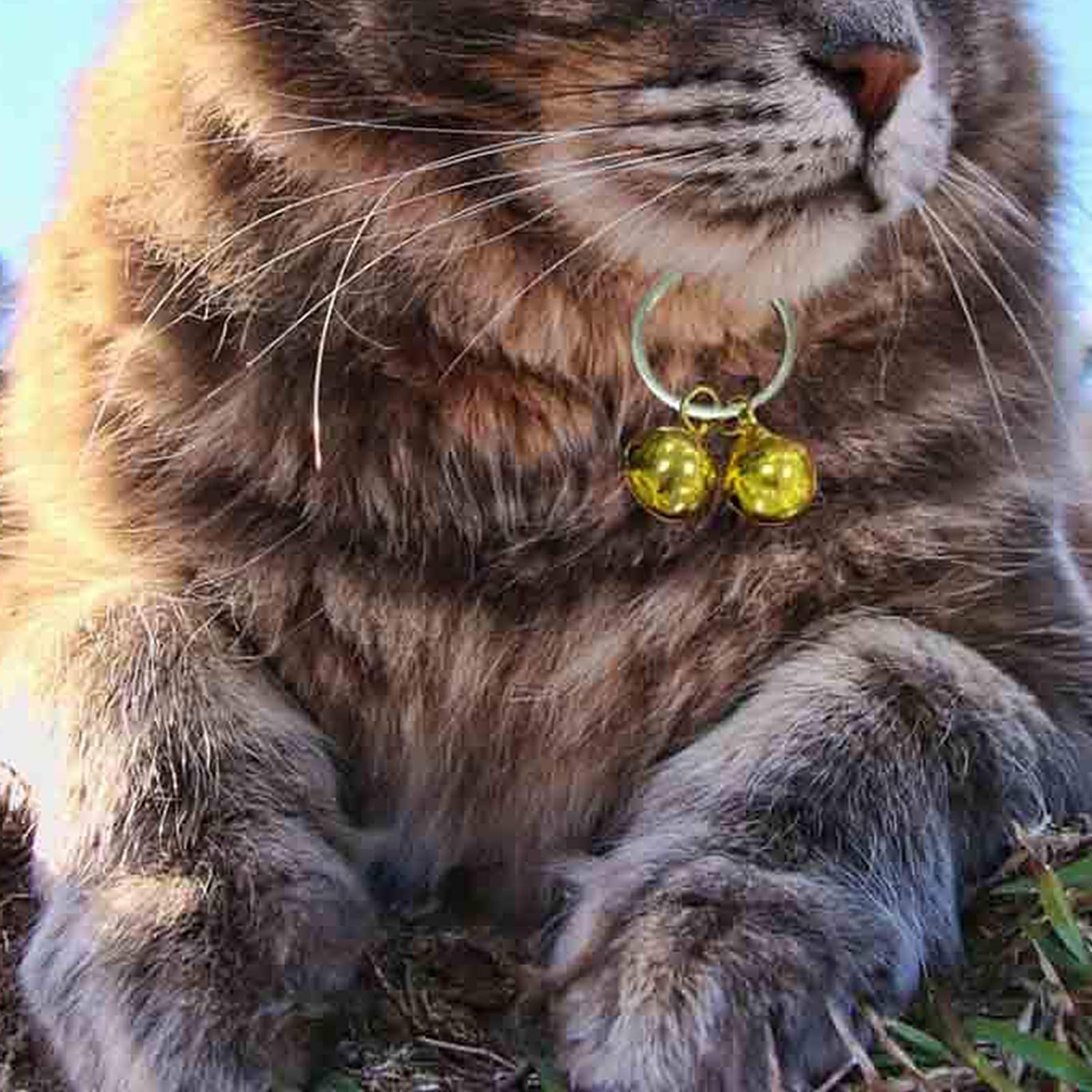4 Extra Loud Cat & Dog Bells, gold - Image 4
