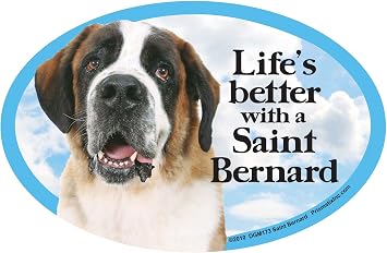 Prismatix Decal Dog Pet Magnets, St Bernard - Lifes Better with a Saint Bernard - Strong Durable Car or Fridge Magnet Decal with Bright Colors, Great Gift for Dog Mom or Dad, 6 x 4 inches | Strong Magnet For Cars Or Fridges Featuring Saint Bernard Design With Bright Colors, 1 Pack, 6 x 4 Inches