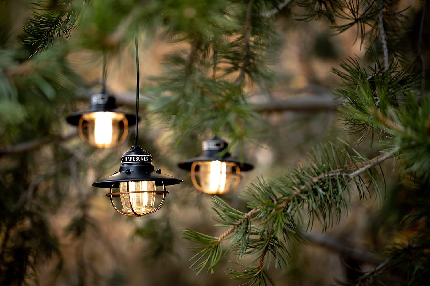 Get Popular Offer Barebones Edison String Lights (Antique Bronze)