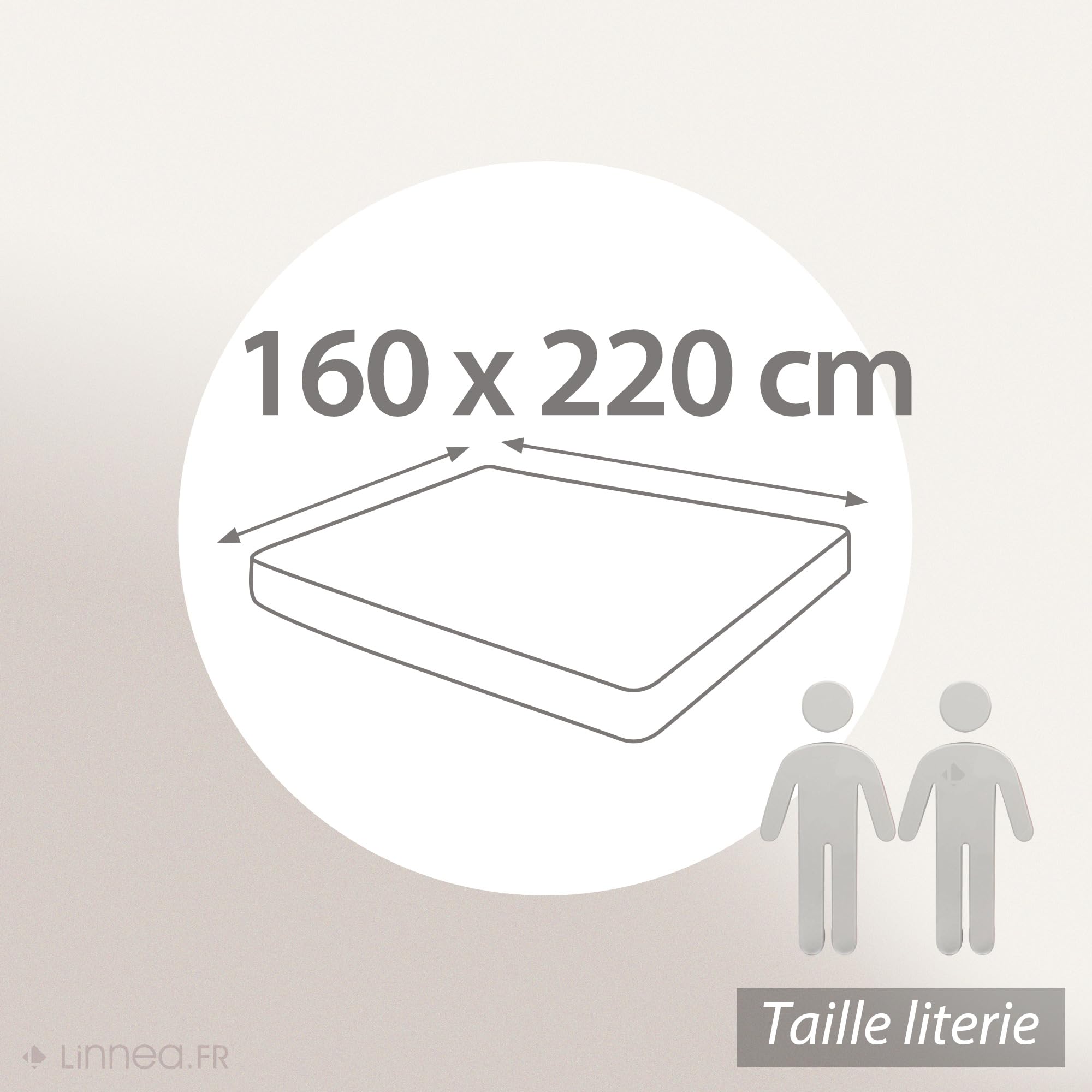 Linnea Protège Matelas 160x220 cm Antonin Molleton Absorbant traité Anti-acariens Bonnet 30cm