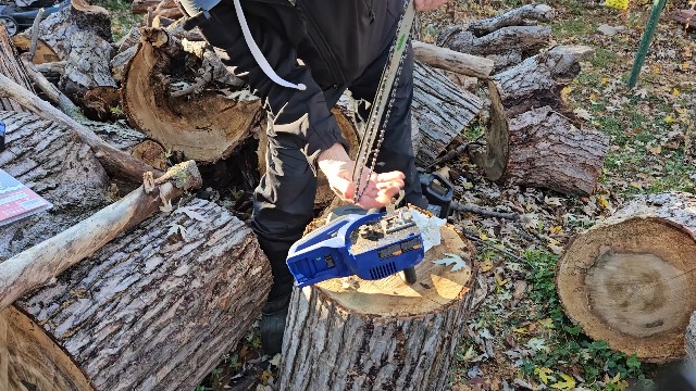 Amazon.com: 4 Inch Chainsaw Chain 1/4