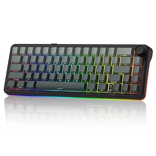 womier L65 60% Mechanical Keyboard with Knob,4000mAh,Tri Mode USB-C/BT5.0/2.4G,RGB Backlit,Hot Swap,Shine Through keycaps,Linear Switch,Gasket Mounted Wireless Gaming Keyboard for PC/Mac(Black)