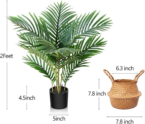 Miniatura 9 de LOMANTO Plantas artificiales de palmera majestad falsa de 3 pies para decoración del hogar, pequeños árboles artificiales en maceta, plantas