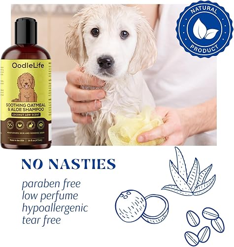 Miniatura 6 de Goldendoodles - Champú y acondicionador para perros, aloe avena + coco, 16 onzas líquidas, champú natural para perros sensibles para razas de