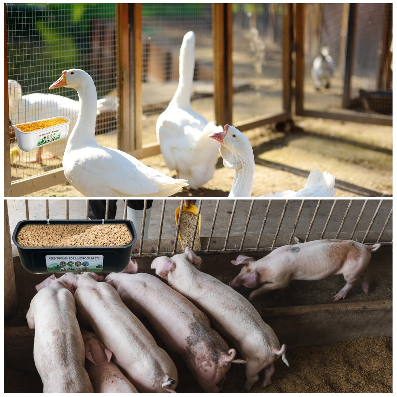 Mangiatoia per galline, dispenser per pollame, mangiatoie automatiche per pollame, grande capacità, scatola di plastica da parete, per pollo, anatra, oca, capra