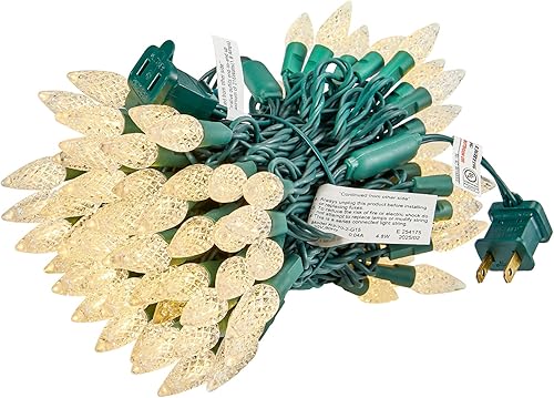 BOHON Luces de Navidad para exteriores, tira de luces C6 facetadas de 34 pies, 100 luces LED enchufables, cable verde extensible, luces de Navidad