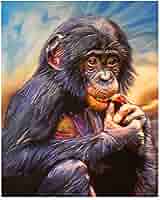 Xotinim uchun anal porno Hasharotlar porno