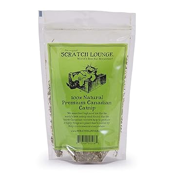 Scratch Lounge Premium Canadian Catnip