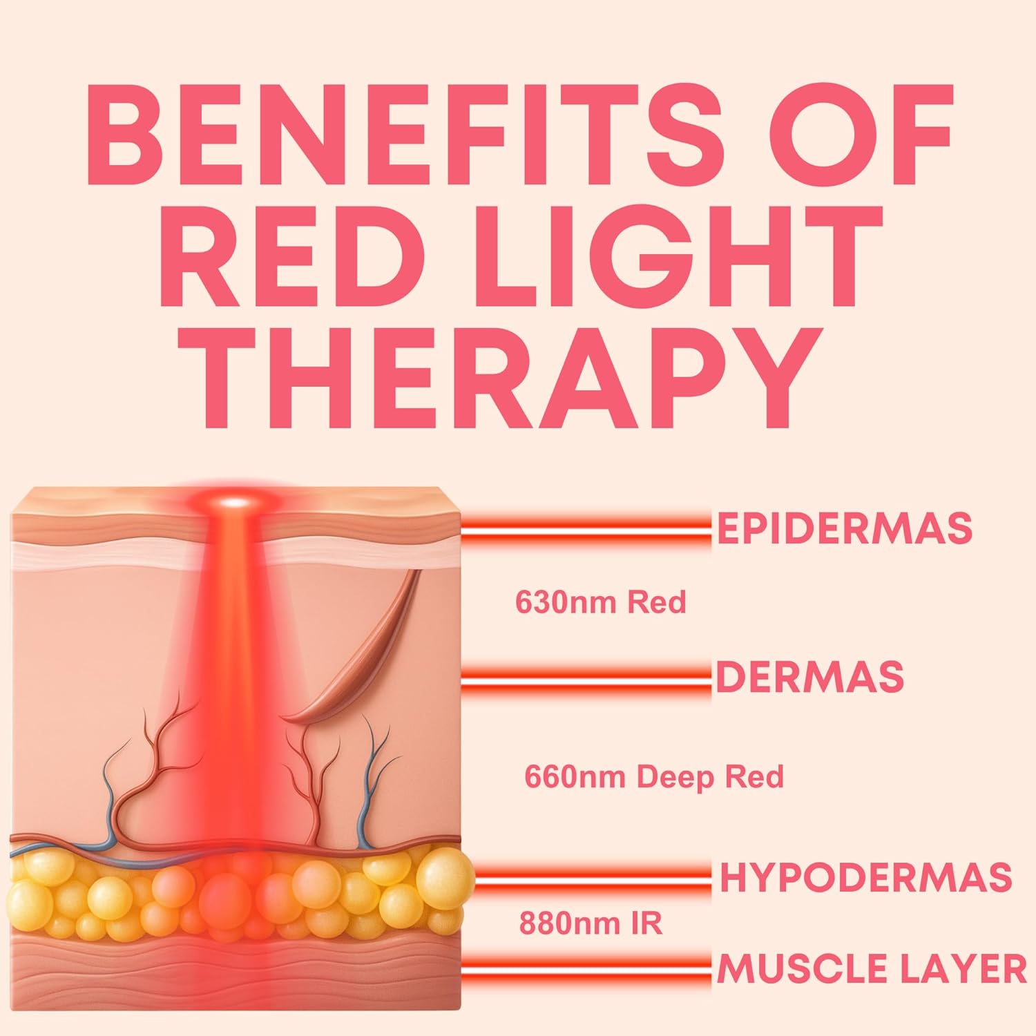 Rayvia - Red Light Therapy Device for Face, Lips - Lip Plumper - Collagen Booster - Anti-Aging Skincare Tool for Women - Fine Line Reducer - Blue Light Whitening Mouthpiece - Home Beauty (Rose Gold) - Image 2