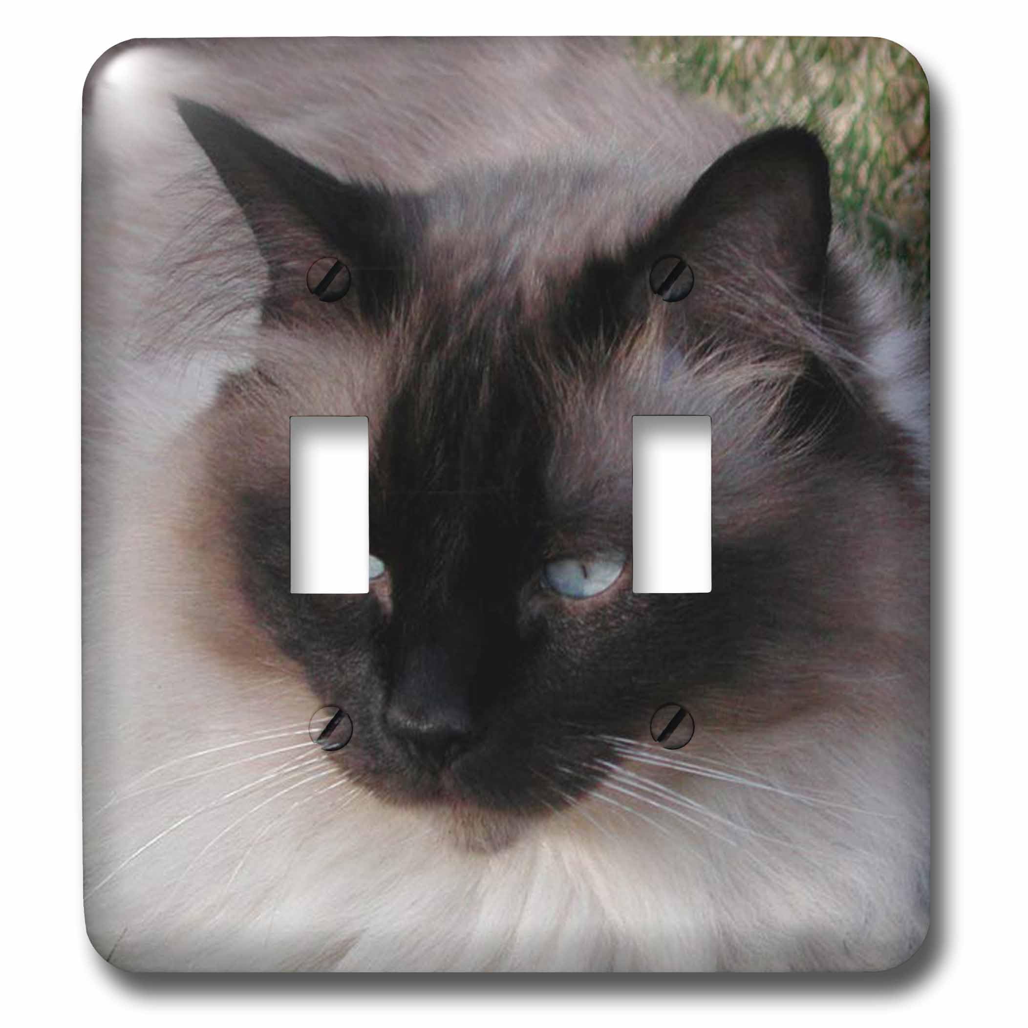 Interrupteur à bascule double chat siamois pour remplacer une plaque unie