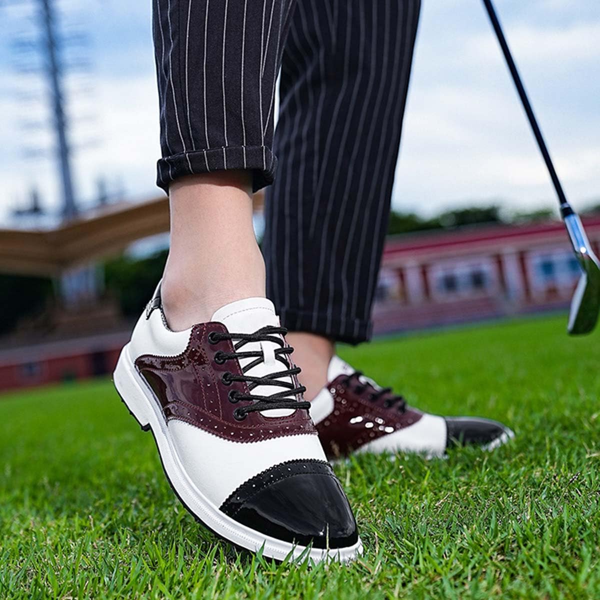 Zapatos De Golf Sin Clavos para Hombre Talla Grande