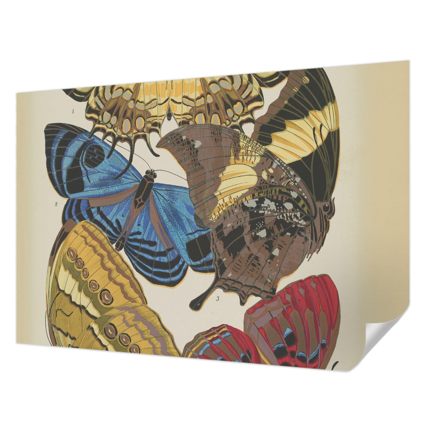 Papel parede autocolante mariposas 152x104 cm para dormitorio y salón