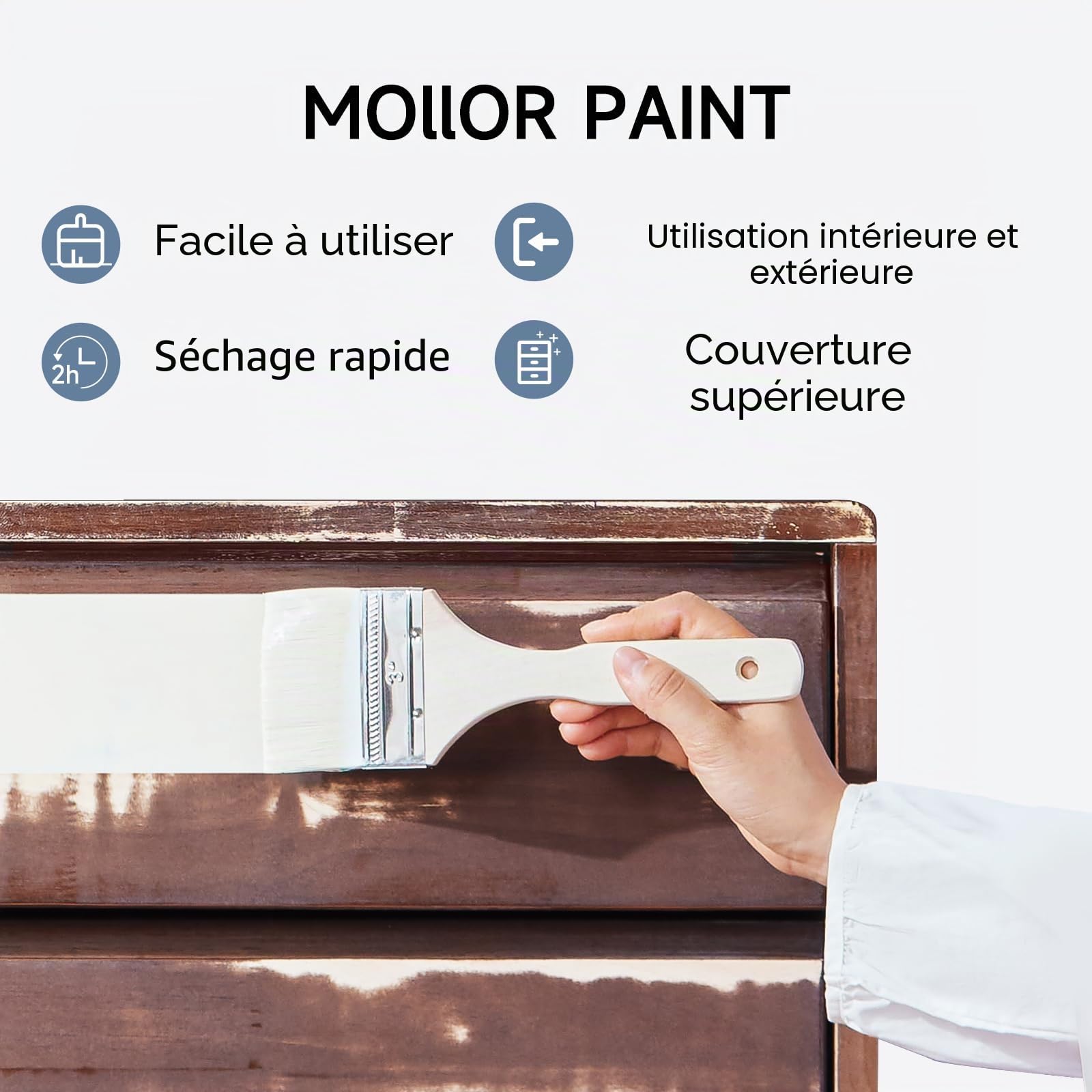 Peinture Meuble Bois | Idéal pour Rénovation de Meubles | Chalk Paint | Ardoise Craie | Peinture Mur Interieur | Mat et Lavable | 1kg Blanc avec des outils