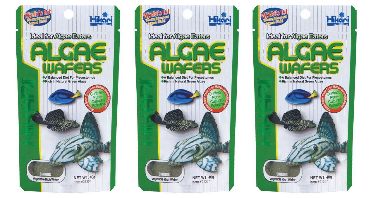 Hikari Tropical Algae Wafers 40g *Pack of Three* - BUNDLE