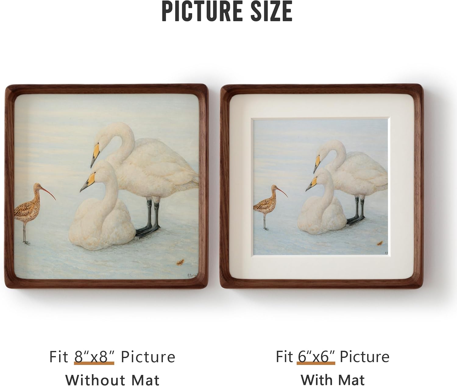 Natural 8x8 Picture Frame with Mat for Pictures 6x6, Square Standing Desk Photo Frame, Plexiglass,Solid Walnut Wood，Tabletop and Wall Hanging